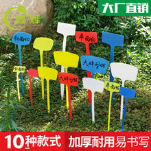 彩色斜面插地牌塑料园艺标签立体多肉标签花卉标识指示牌