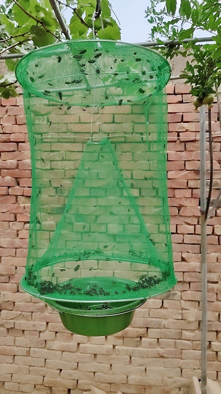 3个三个装捕蝇笼高效灭苍蝇诱蝇笼捕蝇入地式可拆卸捕蝇笼灭蝇器