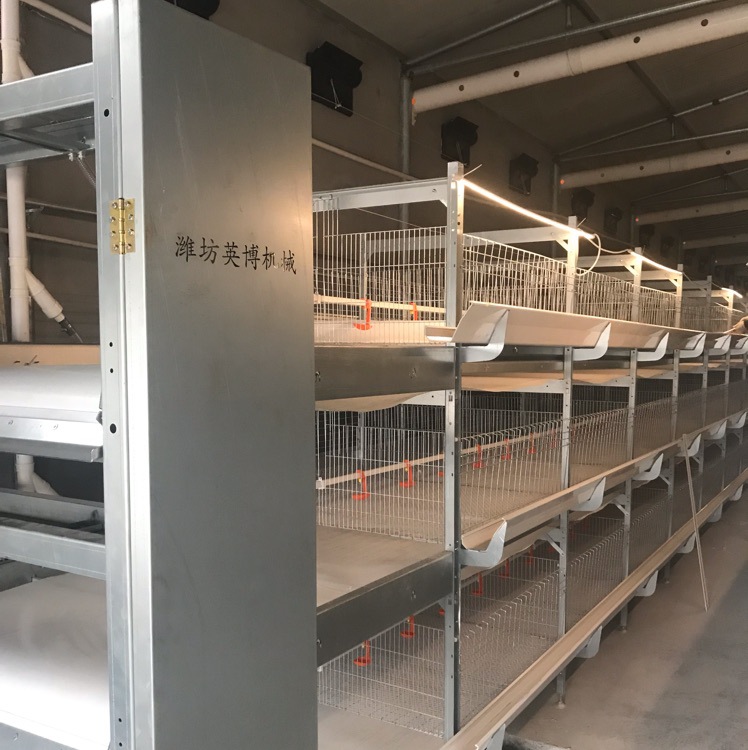 笼养设备 鸭笼喂料,肉鸭笼,h型笼具