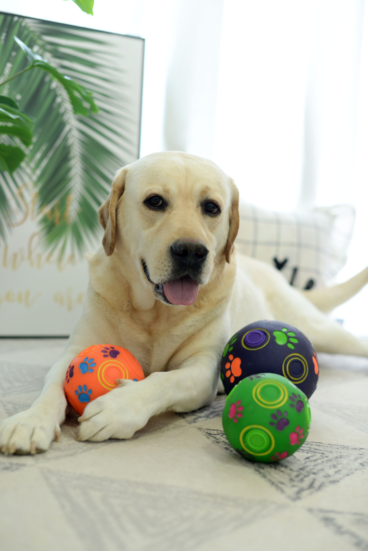 宠物玩具狗狗橡胶球巨大型犬球形玩具发声漏食球拉布拉多金毛瑕疵