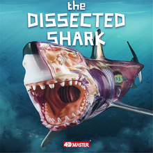 4D Master益智拼装玩具仿真动物生物鲨鱼器官解剖医学用教学模型