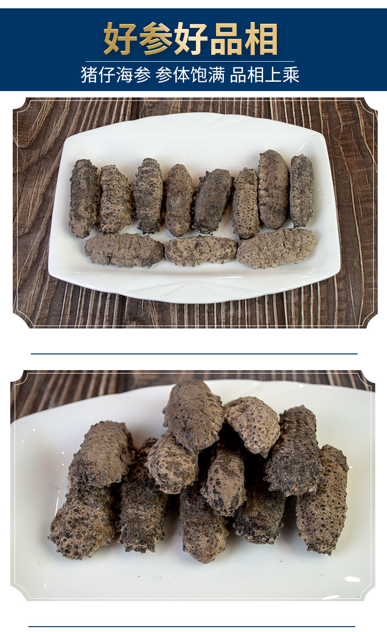 南美猪仔海参原货足刺参大肉参海产品干货墨西哥肥猪仔国外干海参