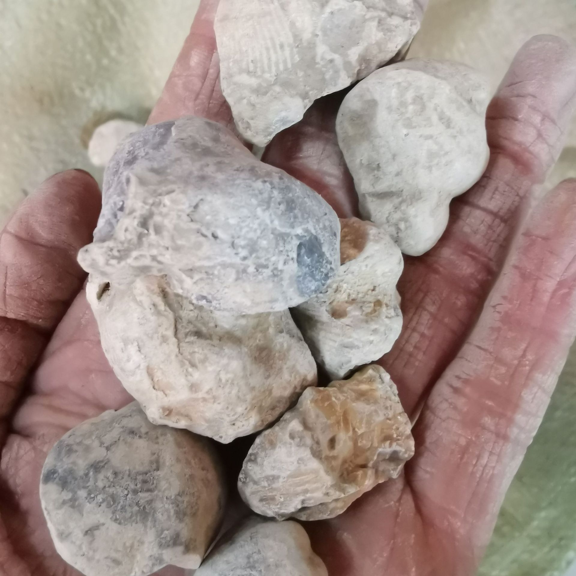 中药材 石燕子 矿石 石燕 燕子石 水飞石燕 可打粉 量大从优