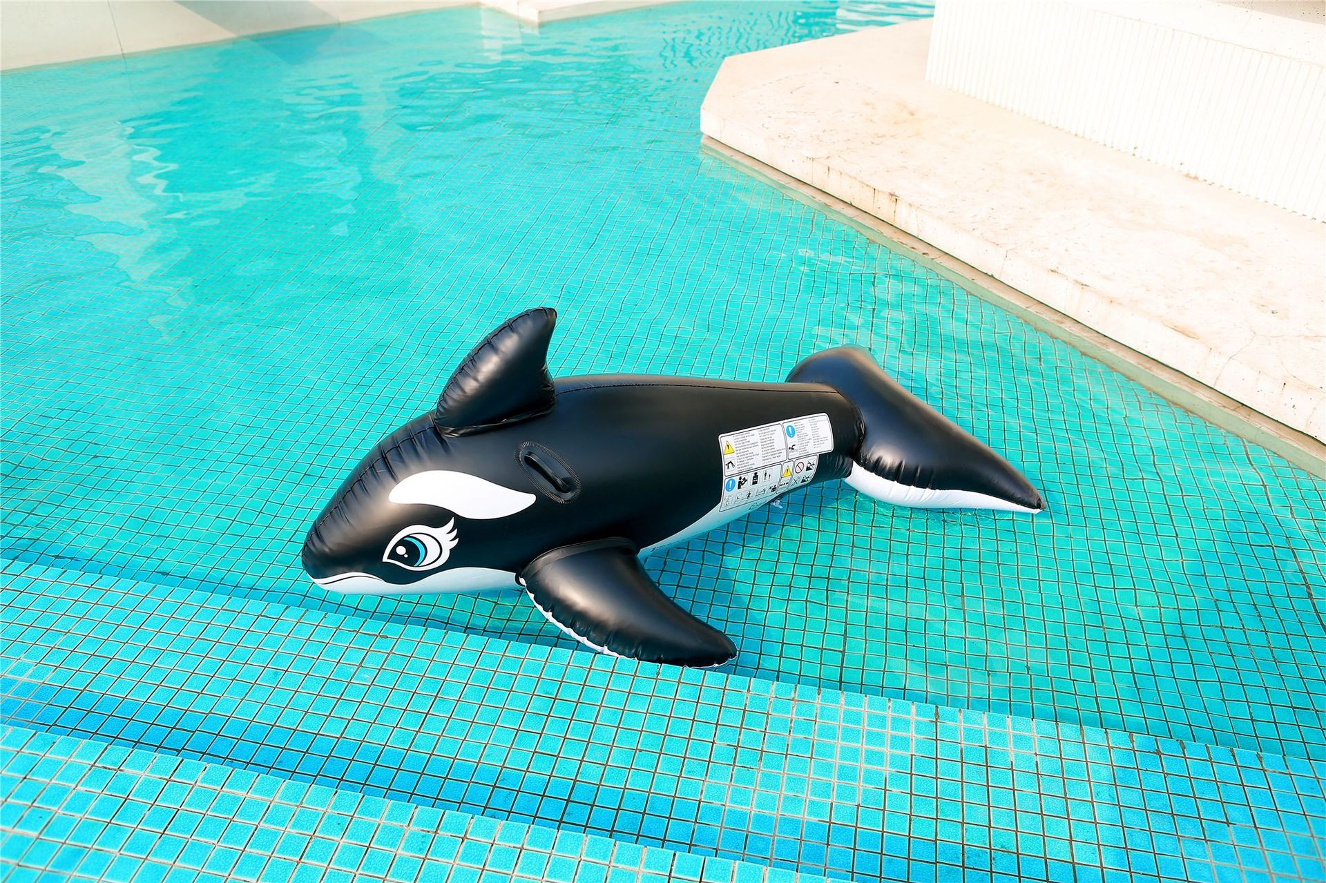 现货供应 海豚坐骑鲨鱼加厚pvc充气黑色鲸鱼浮排水上充气玩具