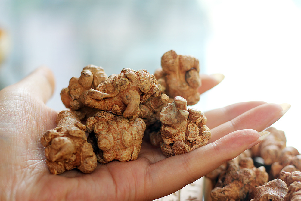 供应云南文山三七可磨粉水洗田七三七果批发厂家