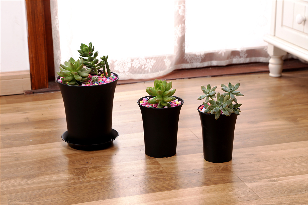 多肉万象盆加厚塑料花盆兰花盆高腰盆黑白经典磨砂多肉球根类加高