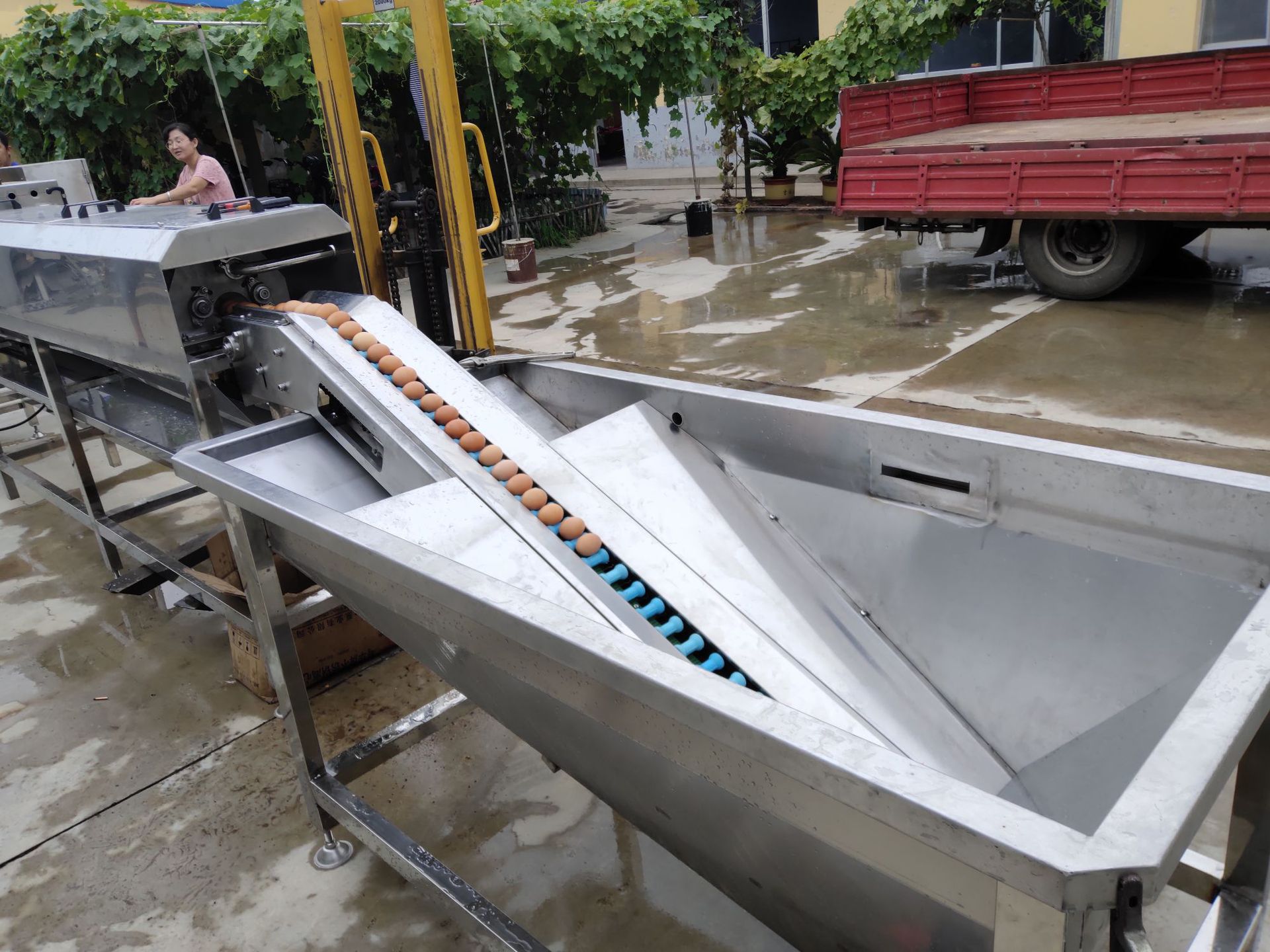 鸭蛋连续清洗洗蛋机 鸡蛋全自动清洗洗蛋机 保洁蛋洗蛋机厂家