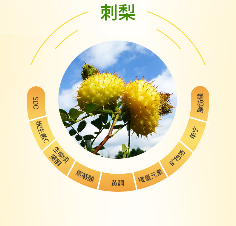 【云康】刺梨胶原蛋白口服液复合果蔬抗糖化小分子肽饮oem代加工