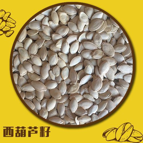 西葫芦籽药食同源用品质细腻西葫芦籽