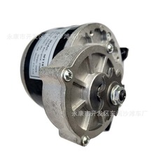 羚鹰电动车游乐设备农用机械直流永磁有刷减速电机12V24V36V250W