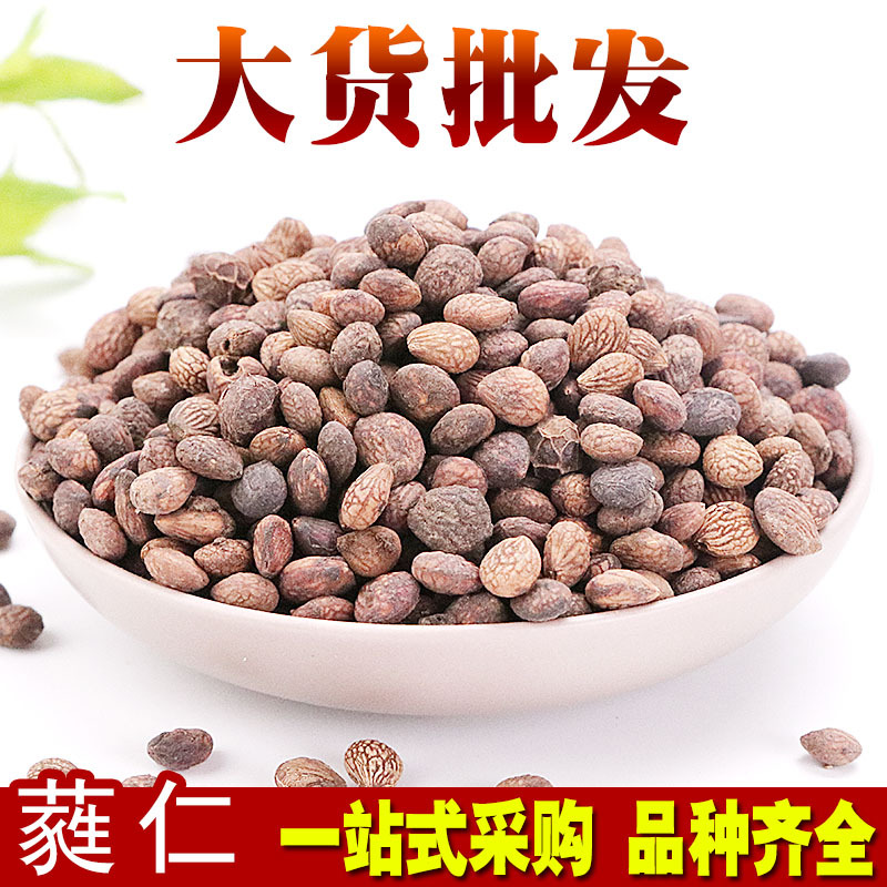 中药材批发蕤仁 量大从优 道地蕤仁 品质优 物美价廉-阿里巴巴