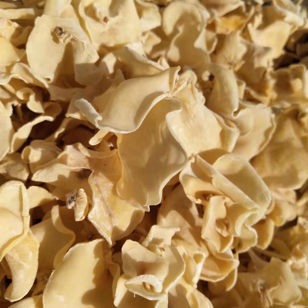 玉木耳 白玉木耳 白木耳 一件代发