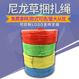 彩色尼龙匹子塑料扎绳撕裂带彩球塑料制品 尼龙草捆扎绳彩色定制