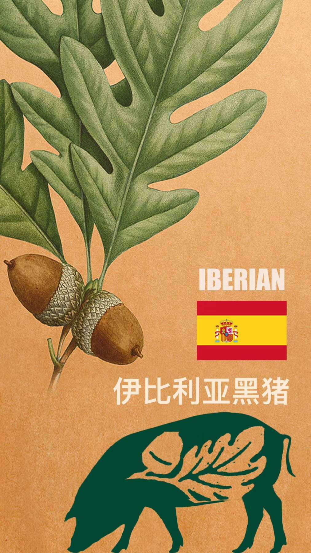 西班牙1672伊比利亚橡木黑猪助排 冷冻纯助排 新货出售 日期新鲜