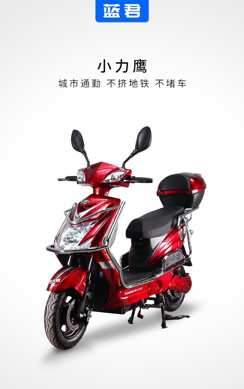 厂家供应双人电动车新国标电瓶车小力鹰48v60v电瓶代步电单车