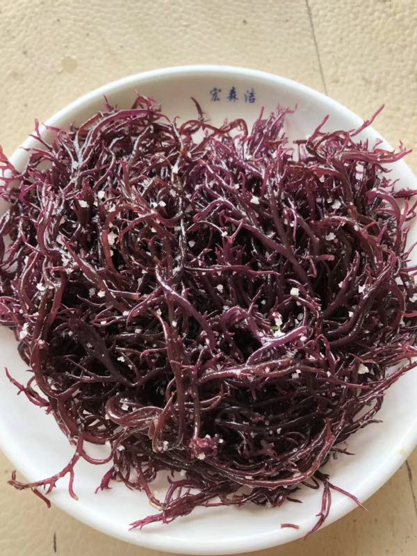 厂家批发 龙须菜 红龙须菜 绿龙须菜 海发菜