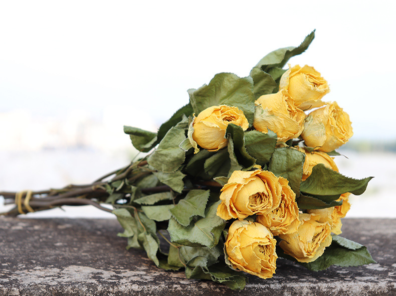 玫瑰干花 云南干花拍摄干花道具 diy手工花材 黄玫瑰干花滴胶花材