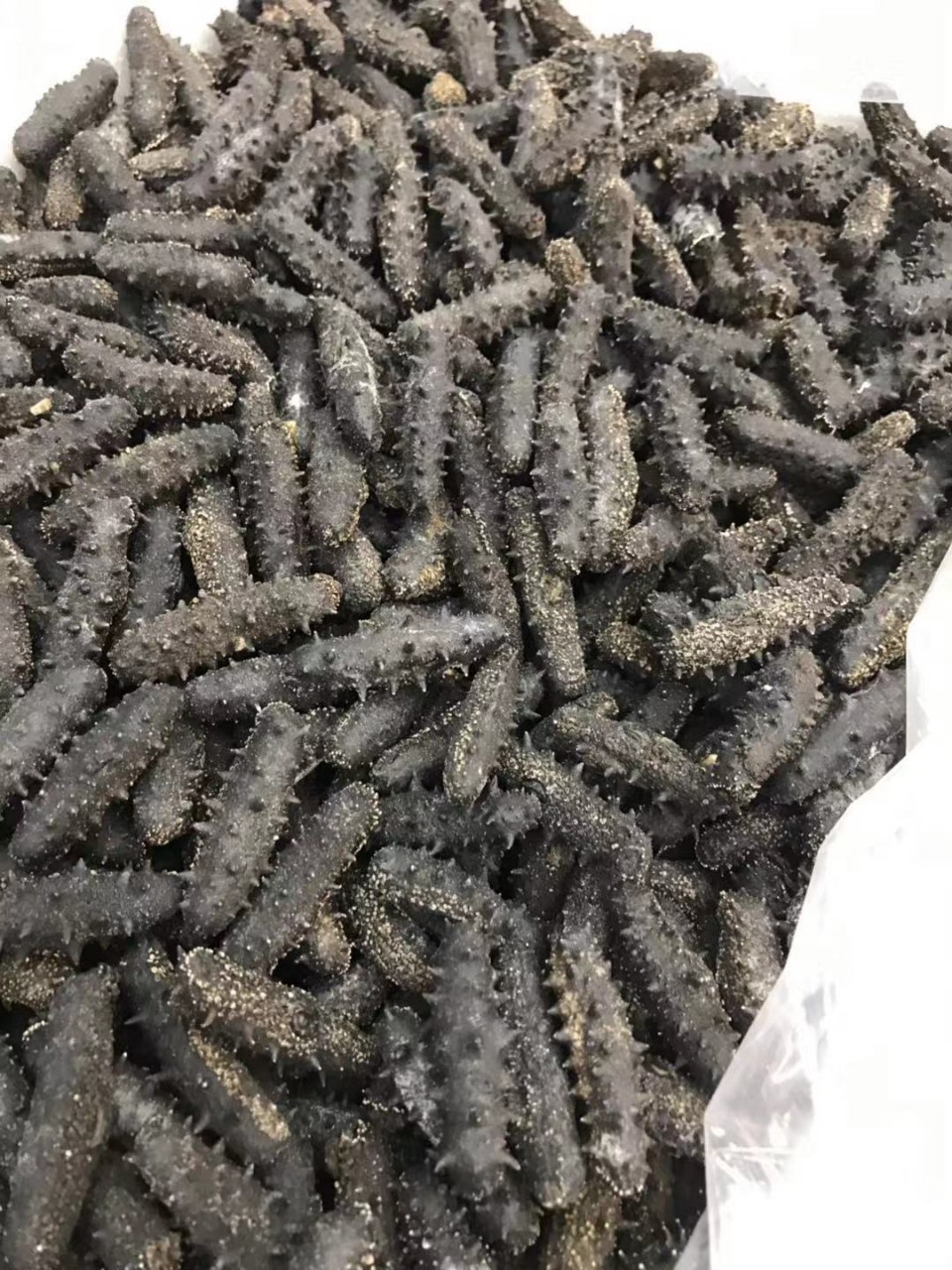 福建纯淡干海参干货80头 一斤泡发12斤左右 纯淡干海参干货批发