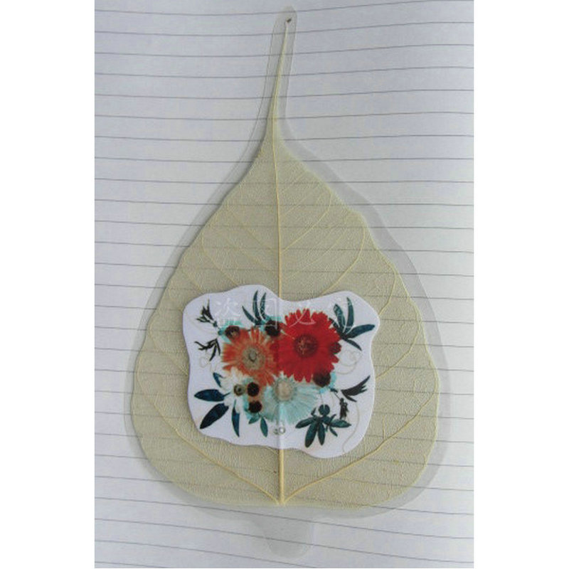 供应 菩提叶脉工艺品 树叶叶脉书签