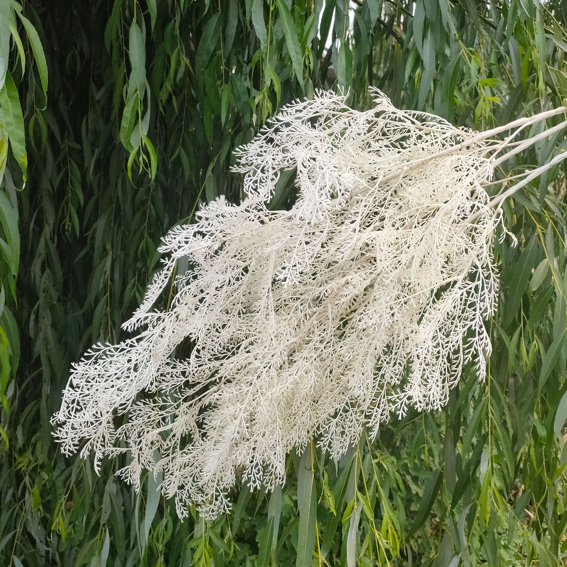 仿真雾凇草迷雾凤尾干花婚庆花拱门吊顶假花仿真迷雾花垂吊雾松