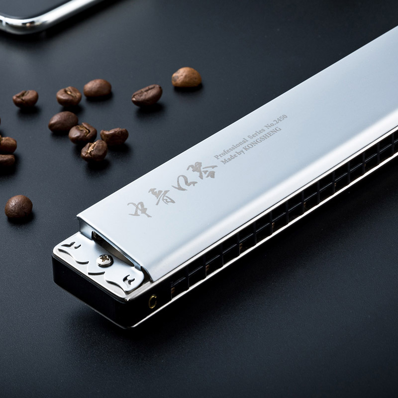 进口音簧24孔中音口琴c调高级成人乐队舞台演出准专业演奏级