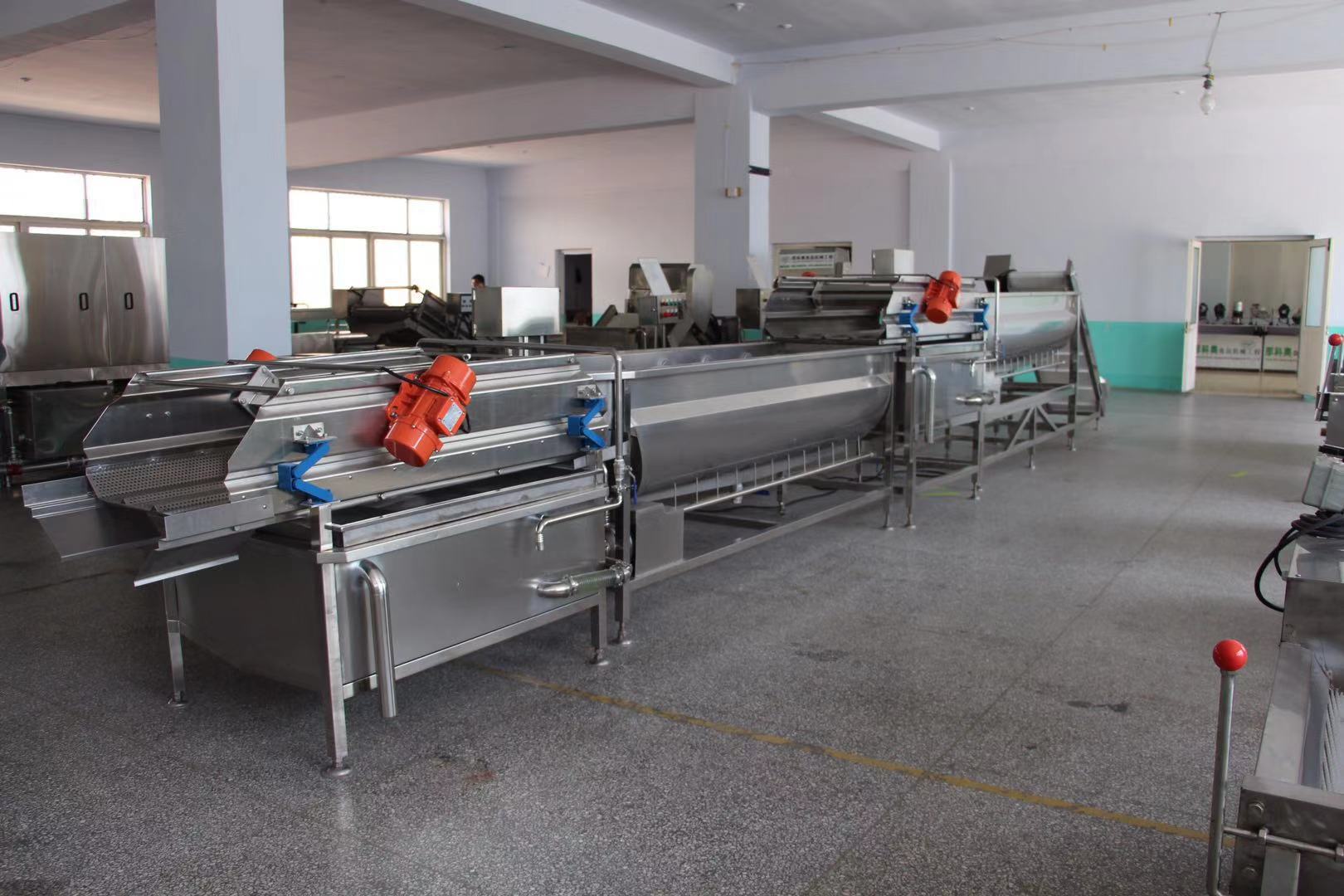 龙翔热销叶类蔬菜气泡清洗机 中草药喷淋式清洗机 食品机械厂直销