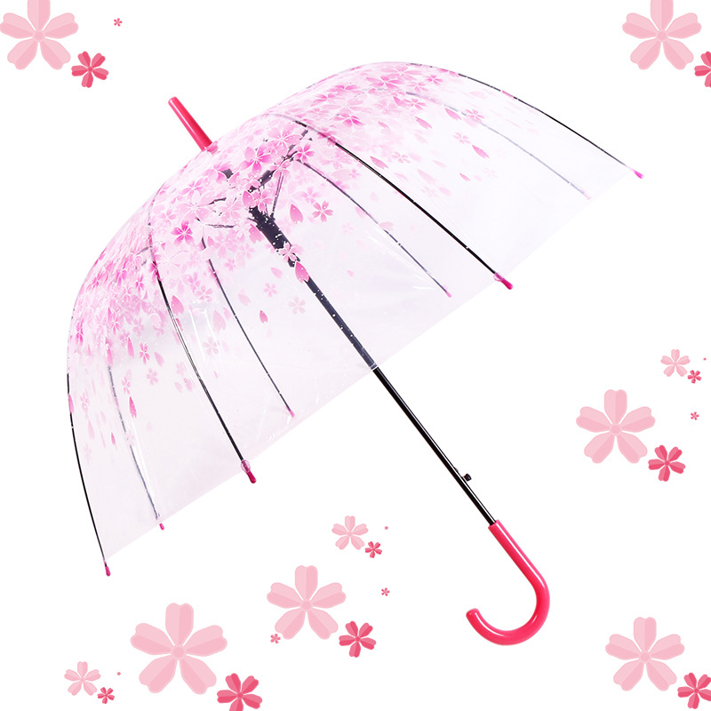 唯美日系樱花伞8k长柄自动透明雨伞女生小清新公主伞拱形阿波罗伞