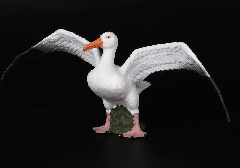 新品仿真动物模型 鸟类 信天翁大型海鸟塑料实心儿童认知科教摆件