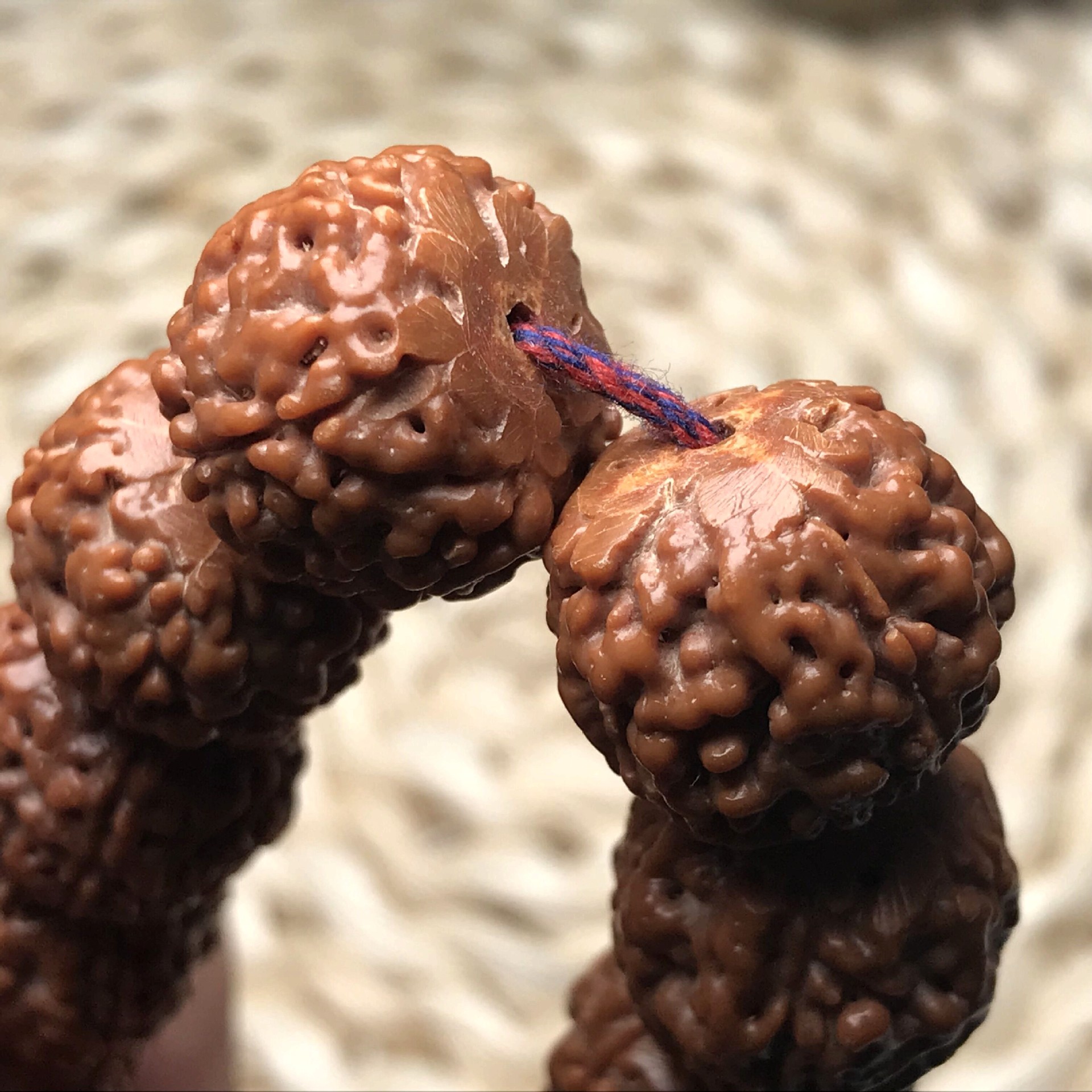 厂家批发藏式龙鳞纹金刚菩提 大草莓金刚菩提子佛珠手串手持念珠
