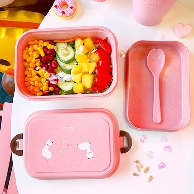 少女饭盒 可爱饭盒女生 韩版 日式 简约单层 ins饭盒便当盒学生