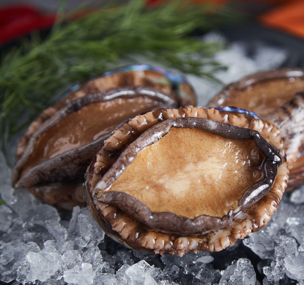 鲍鱼原只带壳冷冻毛重500g/8-14个/包净重320g水产海鲜批发代发