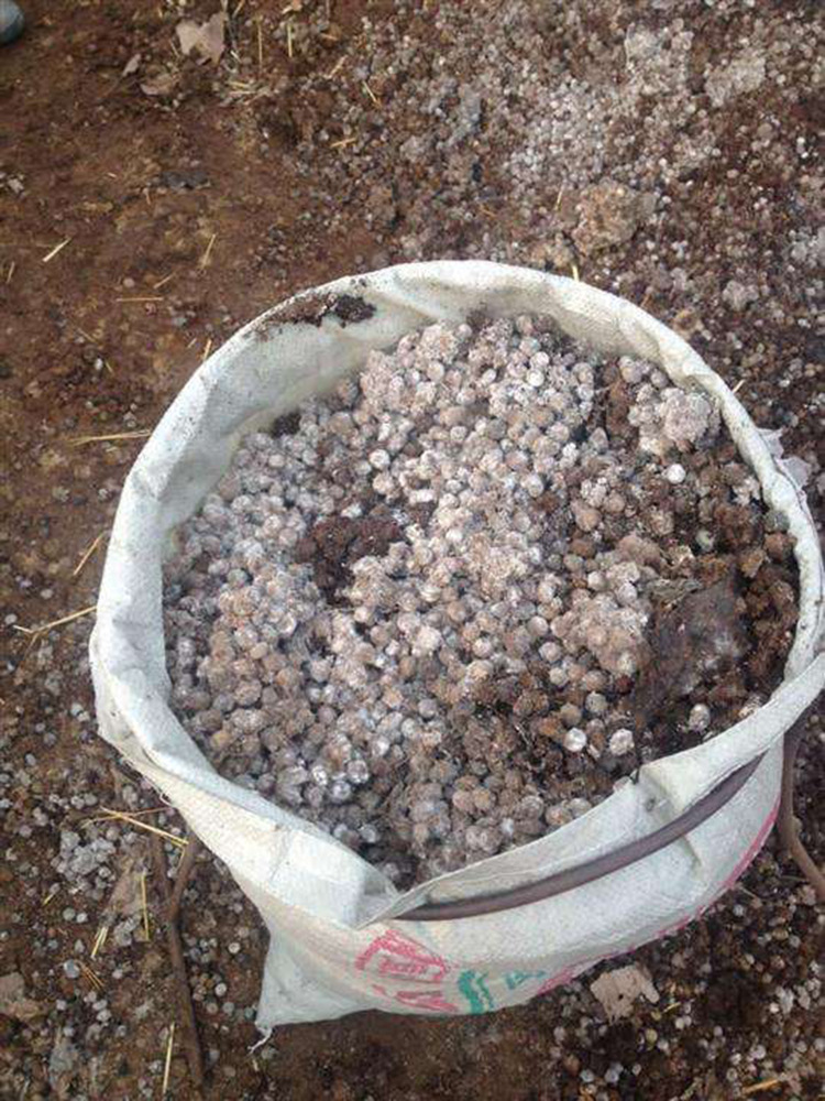 兔屎粪有机肥用什么发酵剂发酵好