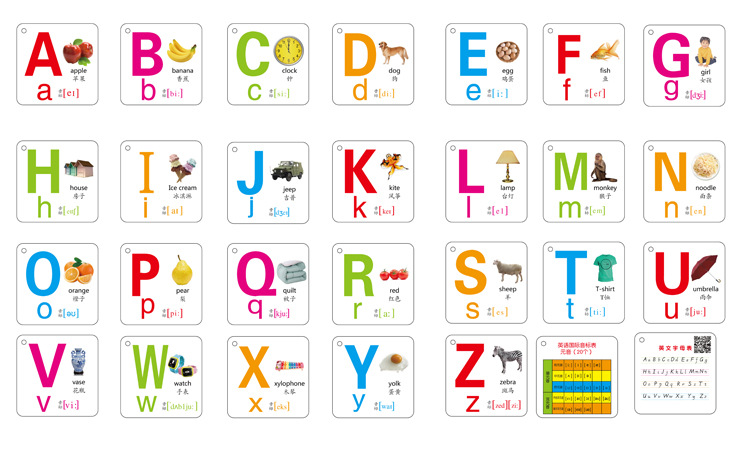【可水洗啃咬pp材质】学前启蒙早教英语字母卡片宝宝英语玩具