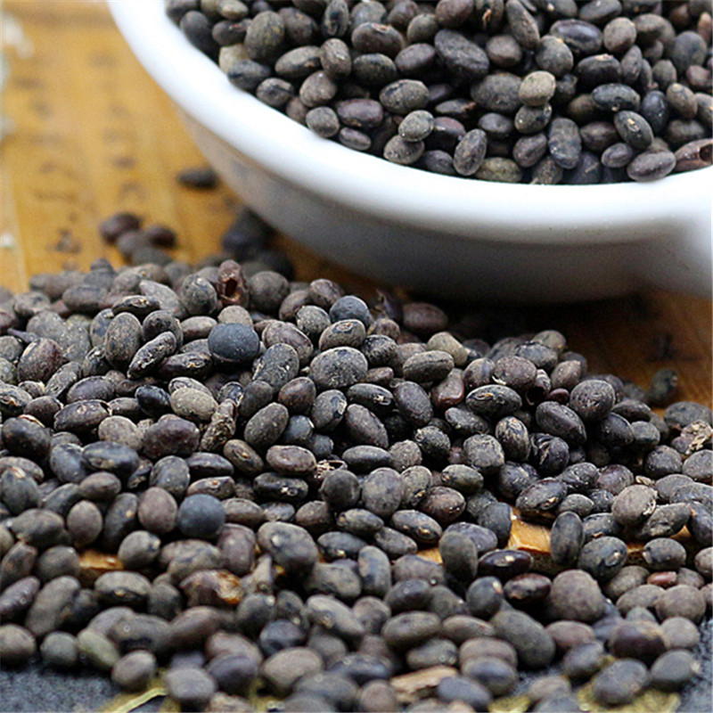 中药材 马料豆 野料豆 黑料豆 乌豆 细黑豆 稽豆 料豆产地货源