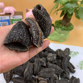 俄罗斯海茄子 足干海茄子一包一斤 和海参的泡发方法一样
