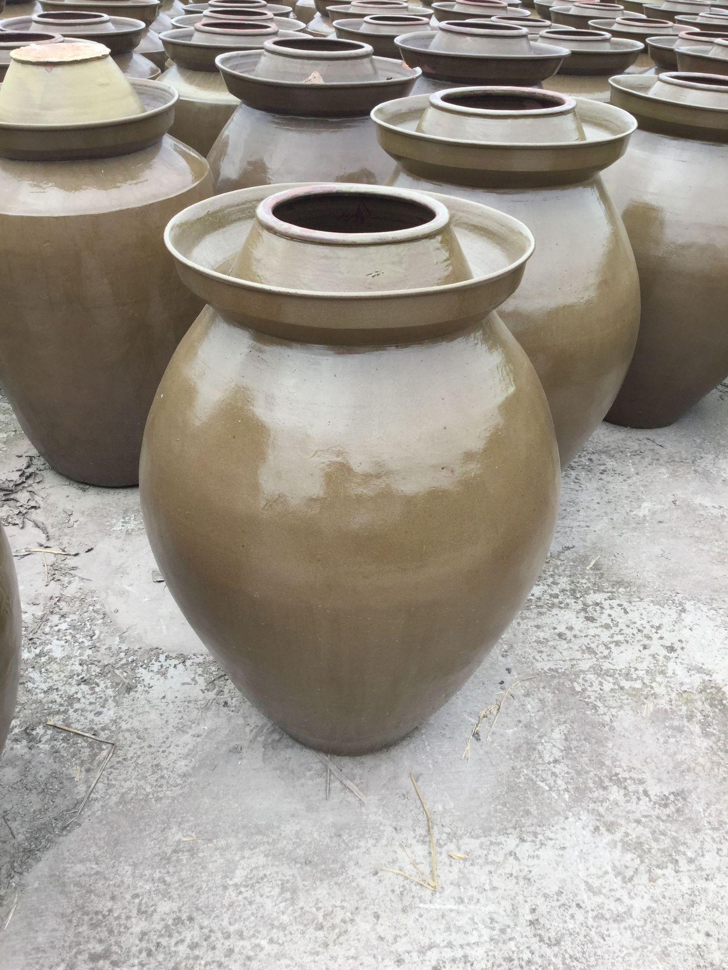 500斤泡菜坛子 四川隆昌泡菜坛子250kg 批发腌菜坛子 陶瓷发酵缸