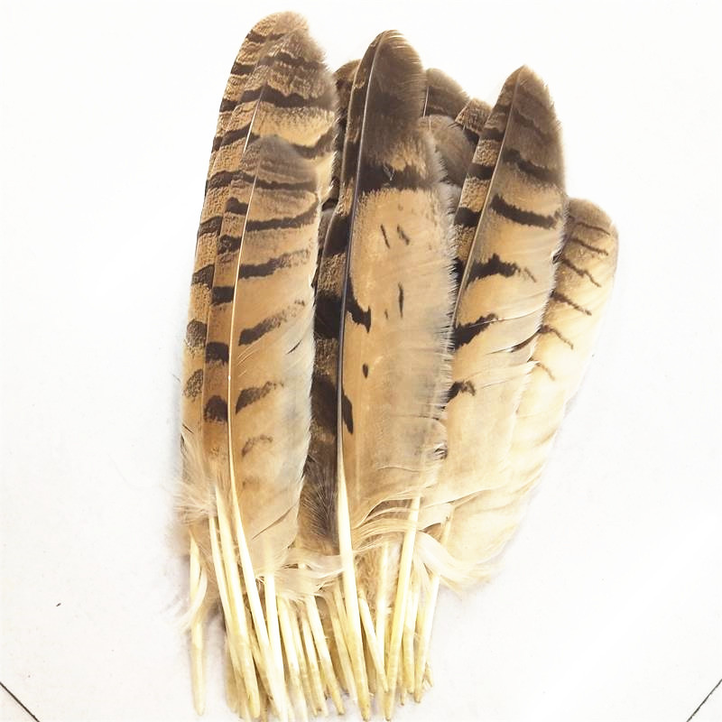 厂家直销 羽毛鹰毛 窝翎 刀翎25-30 30-35公分 价格特优