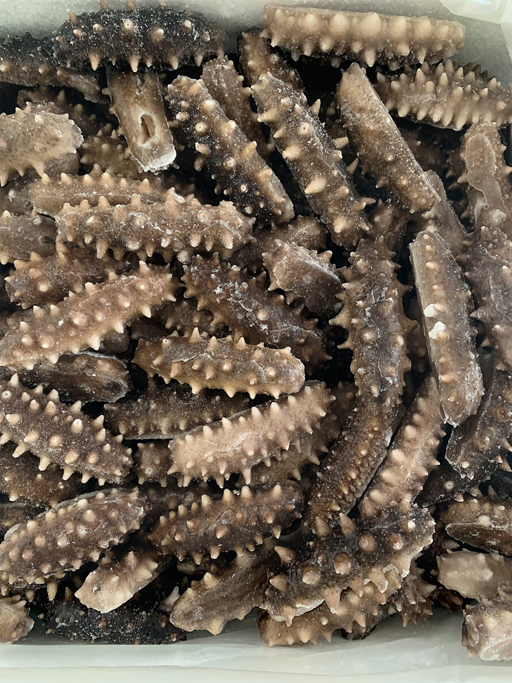 福建8~30只即食海参 真空包装500g高压即食海参 刺参海鲜厂家批发