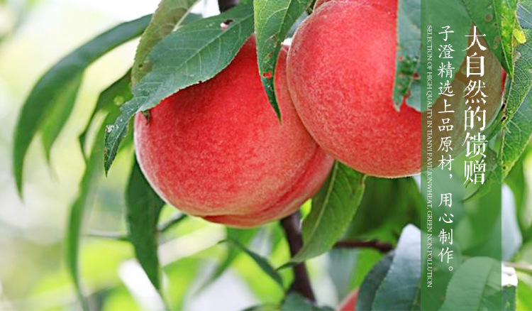 工厂直销代用茶 三角包蜜桃白桃乌龙茶牛皮袋可加工果香花果茶