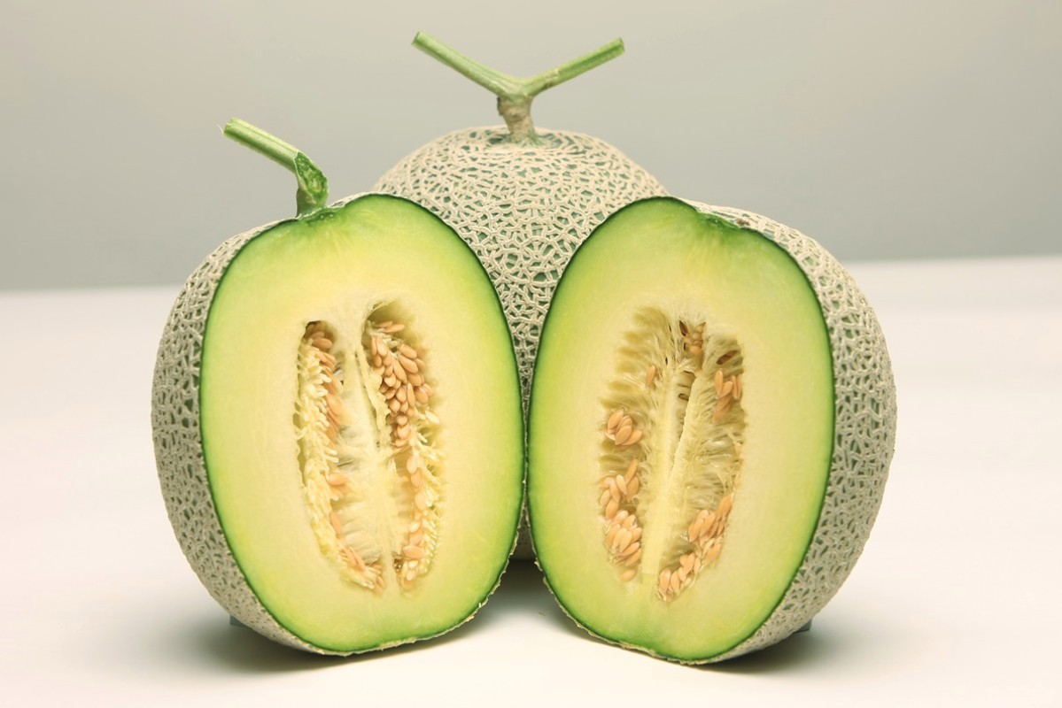 瓜果蔬菜种子_四季圆哈密瓜香瓜黄网纹桔红白肉青肉瓜果蔬菜种子