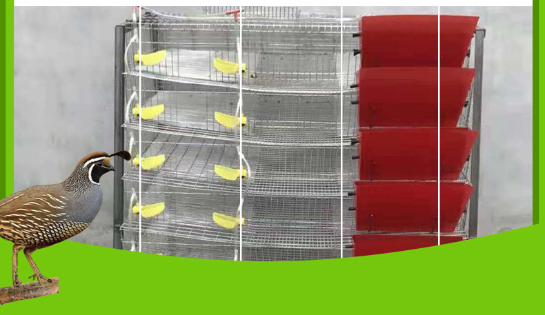鹌鹑笼子 阶梯式饲养笼 养殖笼6层立式笼子