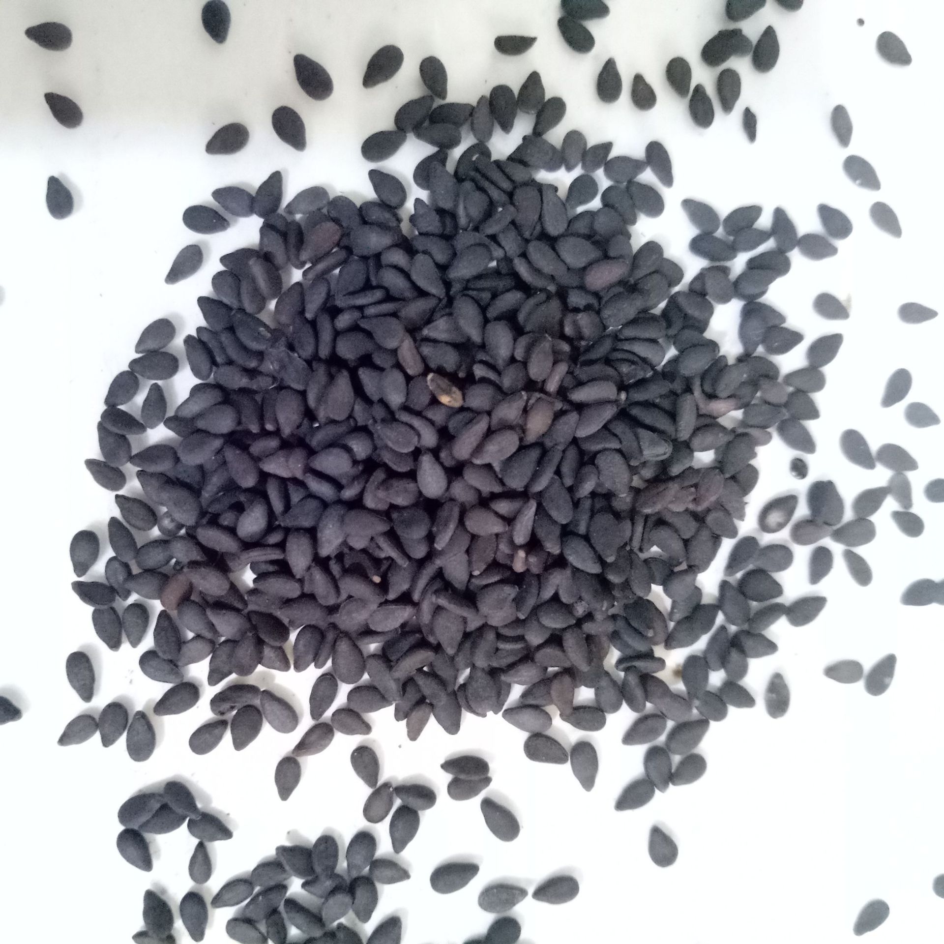 黑芝麻中药材黑芝麻药用食用级黑之麻黑芝油麻小胡麻脂麻批发药材