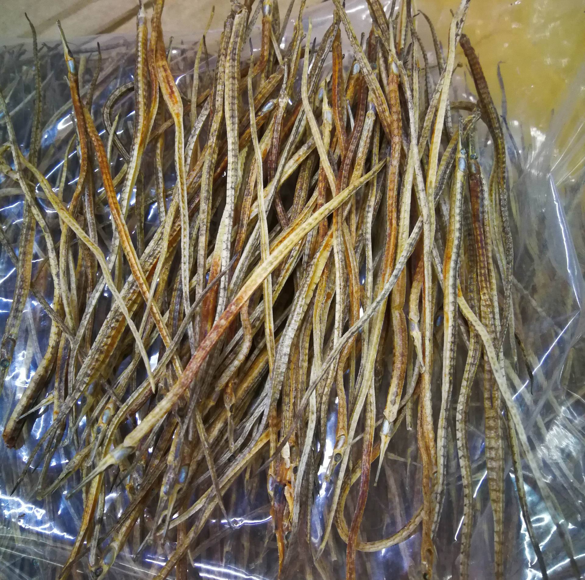 批发 海龙 干货 中药材泡酒原材料