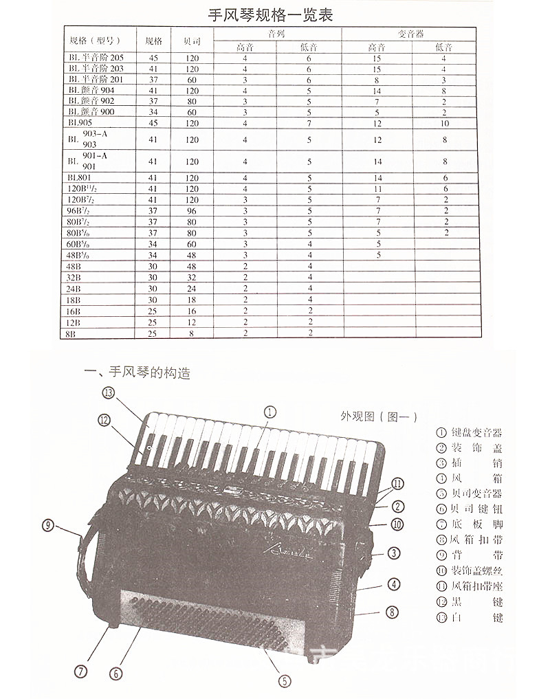 手风琴96贝司音名图图片