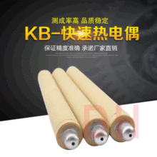 批发消耗钨铼快速热电偶 KB602P300纸管测温棒 一次性快速热电偶