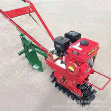 履带式果园微耕机 小型田园耕整机 多用微型播种机 柴油动力