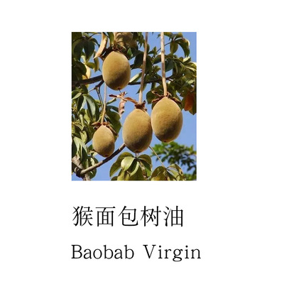 猴面包树油 猢狲树植物基础油 唇膏diy基底油 20ml样 baobab