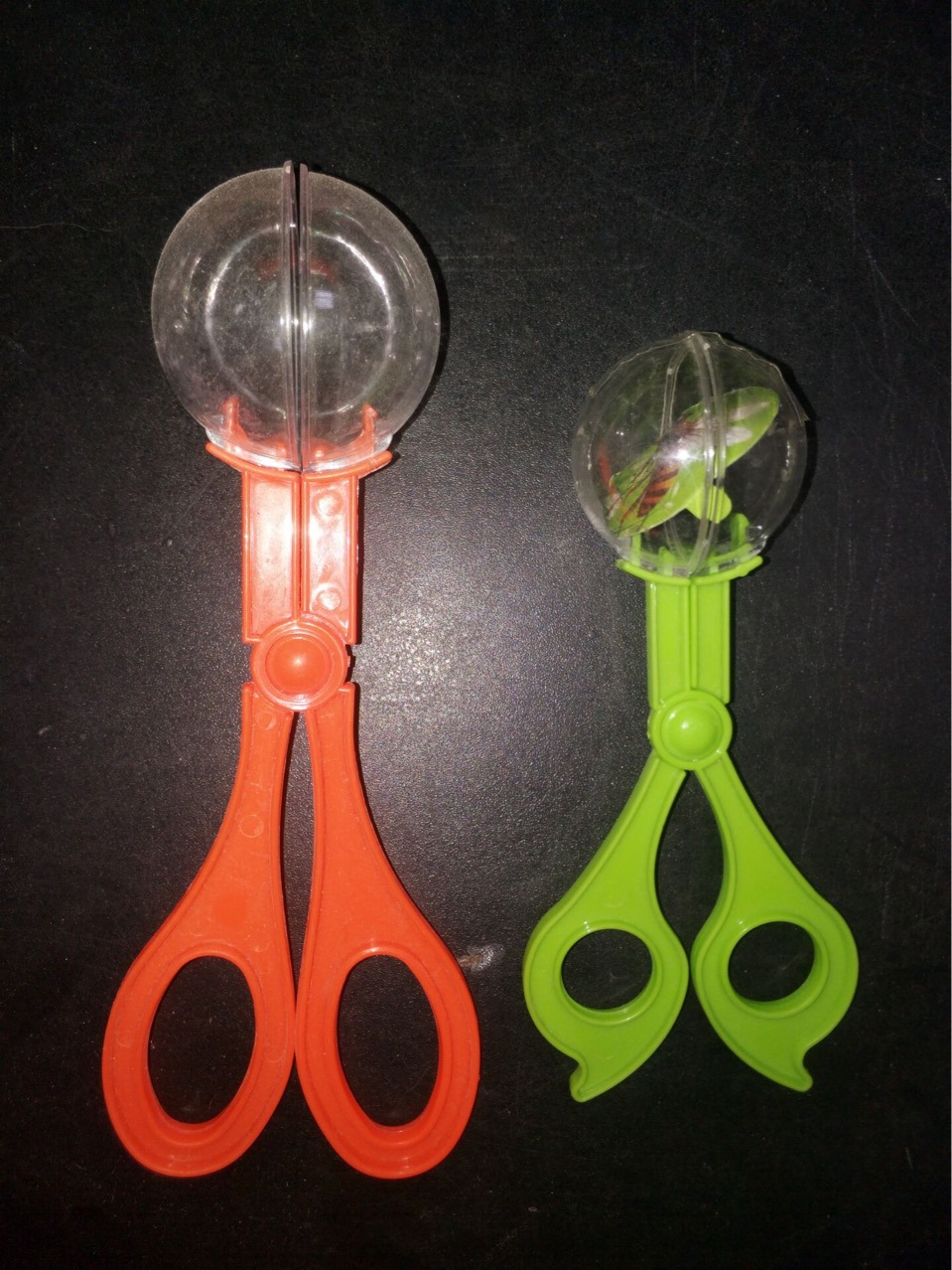 大自然昆虫捕捉器蝴蝶捕捉大剪刀