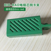 通用Bio-rad 伯乐电极芯侧卡夹（绿色)电泳槽配件电泳配件1658037