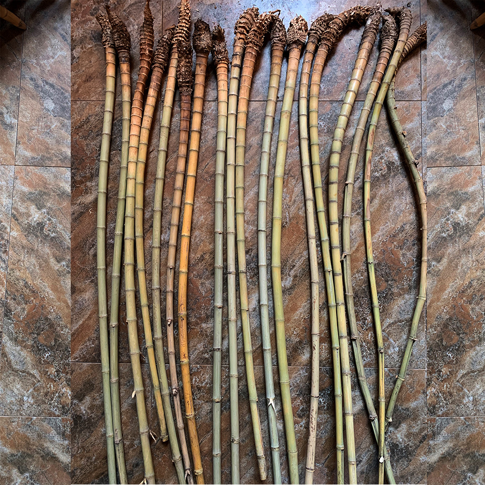 厂家直供小竹根原料竹根竹鞭竹头材料手把件渔具原材料根雕拐杖料